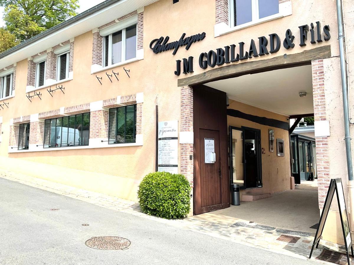 Les Loges Du Theatre Degustation Champagne Offerte Jacuzzi Sauna Jeux Velos Maison Prive 150M2 Historique 14Pers Max Emplacement Exceptionnel Et Chic, 200M De L'Avenue De Champagne, Gare, Musee, Jardins, Restaurations, Toutes Commodites Épernay Exteriör bild