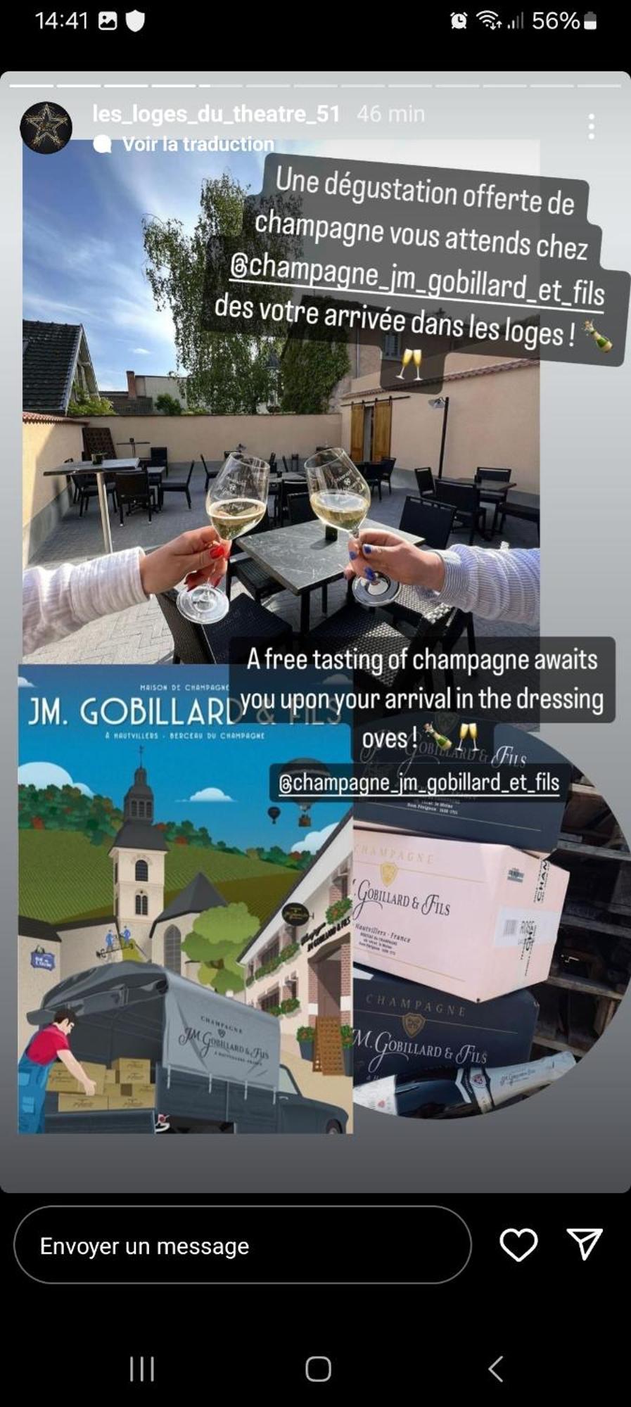 Les Loges Du Theatre Degustation Champagne Offerte Jacuzzi Sauna Jeux Velos Maison Prive 150M2 Historique 14Pers Max Emplacement Exceptionnel Et Chic, 200M De L'Avenue De Champagne, Gare, Musee, Jardins, Restaurations, Toutes Commodites Épernay Exteriör bild