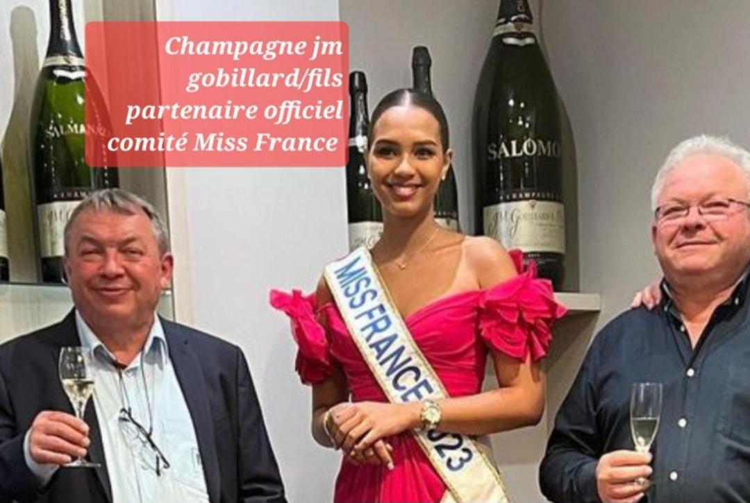 Les Loges Du Theatre Degustation Champagne Offerte Jacuzzi Sauna Jeux Velos Maison Prive 150M2 Historique 14Pers Max Emplacement Exceptionnel Et Chic, 200M De L'Avenue De Champagne, Gare, Musee, Jardins, Restaurations, Toutes Commodites Épernay Exteriör bild