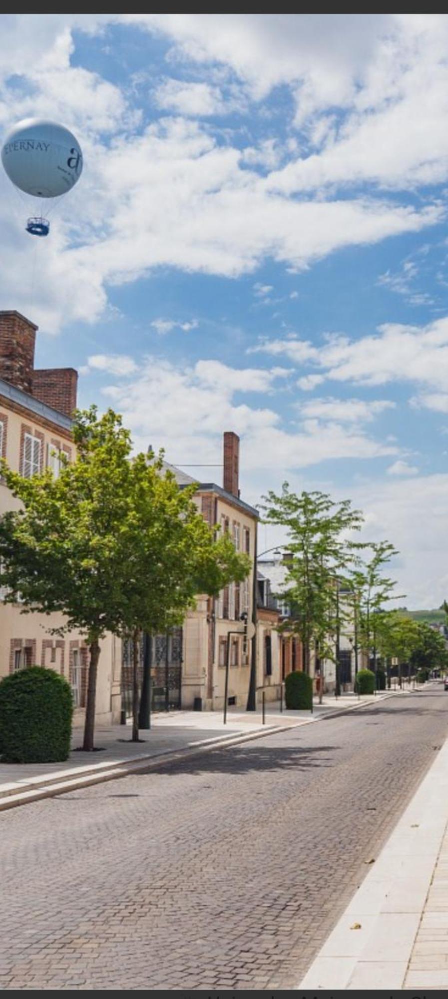 Les Loges Du Theatre Degustation Champagne Offerte Jacuzzi Sauna Jeux Velos Maison Prive 150M2 Historique 14Pers Max Emplacement Exceptionnel Et Chic, 200M De L'Avenue De Champagne, Gare, Musee, Jardins, Restaurations, Toutes Commodites Épernay Exteriör bild
